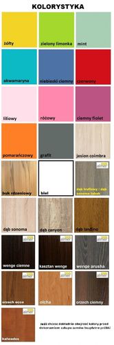 biurko dla chłopca pokój dziecka meble dziecięce RAJD 11 NB7 grafika auta na Arena.pl