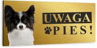 Tabliczka UWAGA ZŁY PIES PAPILLON złota aluminium