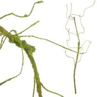 product-compare-54635545