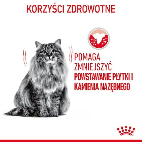 Karma dla kotów redukująca odkładanie kamienia nazębnego Royal Canin 3,5kg na Arena.pl
