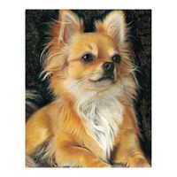 mozaika diamentowa haft 30x40 cm pies chihuahua flamingo line