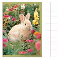 Zeszyt W Linię A5 Herlitz 32 Kartek