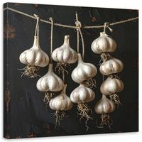 Obraz do kuchni restauracji baru jadalni, Suszony czosnek 60x60