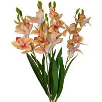 product-compare-61190434