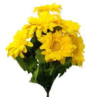 Bukiecik stokrotka żółty