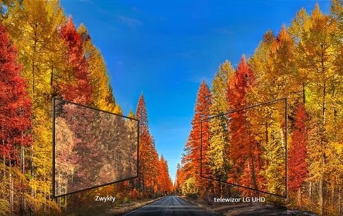 Telewizor 65" LG 65UK6300MLB na Arena.pl