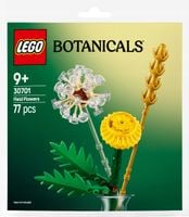 LEGO Botanicals Kwiaty polne 30701