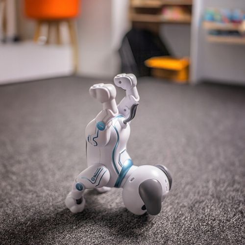 Maxlife pies zdalnie sterowany MXRD-100 biały na Arena.pl