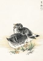 Plakat 21x29,7cm Black Brant, Kashu Japoński Vintage do Salonu