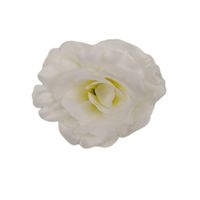 Róża wyrobowa '20 white/ yellow