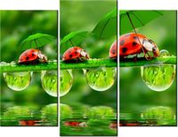 70 90CM OBRAZ 3 ELEM BIEDRONECZKI ŚCIENNY DRUK PŁÓTNO