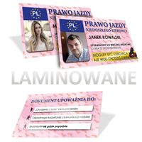 Prawo Jazdy Niedoszłego kierwocy - Motywacja do zrobienia prawka