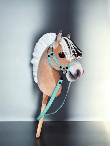 HOBBY HORSE FIORD A4+Gratis-CORDEO na Arena.pl