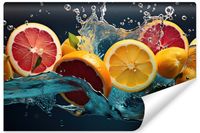 product-compare-54683678