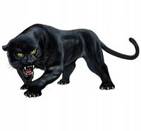 Naklejka Czarna Pantera Sticker Wlepa do Auta Samochodu Dziki Zew Ryk Styl