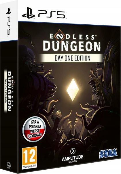 ENDLESS DUNGEON DAY ONE EDITION - PL - PS5 - Płyta Blu-ray zdjęcie 1