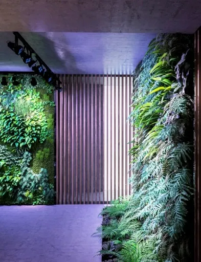 VERTICANA Żarówka do doświetlania roślin 35W czarna 45° oświetla z 2m zdjęcie 2