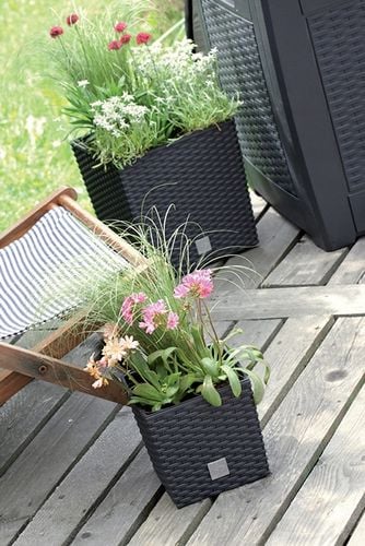 Donica Rato Low 400mm antracyt Prosperplast na Arena.pl