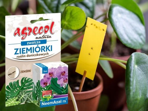 NEEMAZAL TS Owadobójczy 3ml + Żółte lepy 12szt. na Ziemiórki Mszyce na Arena.pl