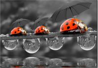 100 70CM OBRAZ PŁÓTNO SPACEREK PŁÓTNO RAMA