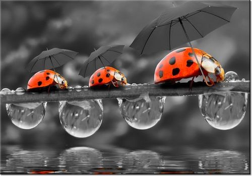 100 70CM OBRAZ PŁÓTNO SPACEREK PŁÓTNO RAMA na Arena.pl