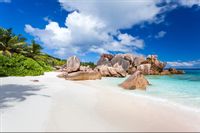 Fototapeta Plaża OCEAN Skały Palmy do Salonu 450x300