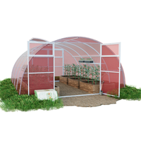 Szklarnia z poliwęglanu Tunel ogrodowy 4x6 m profile 40x20 poliwęglan różowy 6 mm