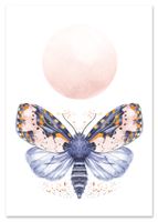 Plakat ćma motyl pokój dziecka 61x91 cm