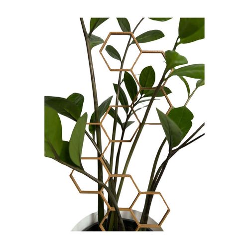 Podpora do roślin w kształcie heksagonów - nowoczesna i solidna na Arena.pl