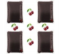 sok wiśnia wiśniowy 100% 4x5L z wiśni tłoczony bez cukru do herbaty wiśnia