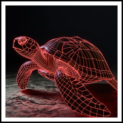 Plakat 80x80cm Neonowy Żółw na Arena.pl
