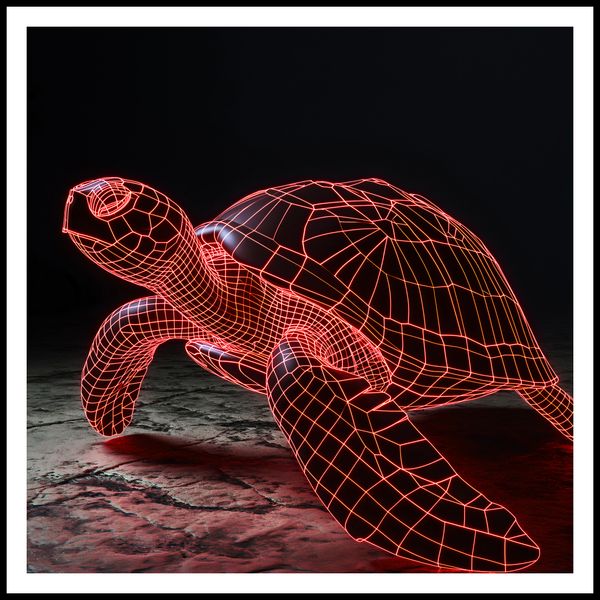 Plakat 80x80cm Neonowy Żółw zdjęcie 3