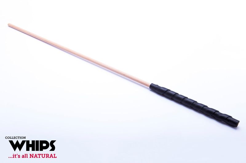Pejcz-WHIPS trzcina bukowa zdjęcie 1