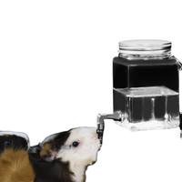 Butelka Szklana na Wodę dla Gryzoni Bez Kapania Poidełko dla Świnek 320ml