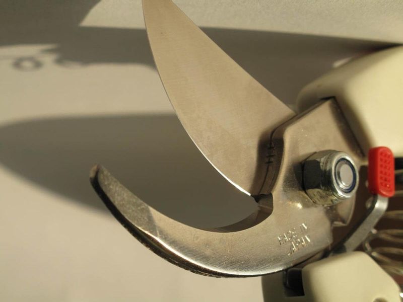 SEKATOR RĘCZNY DO GAŁĘZI ZACT ZS-210 MADE IN JAPAN zdjęcie 2