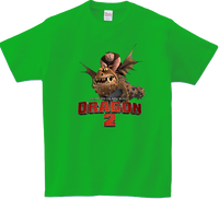 Koszulka T-shirt Jak wytresować Smoka