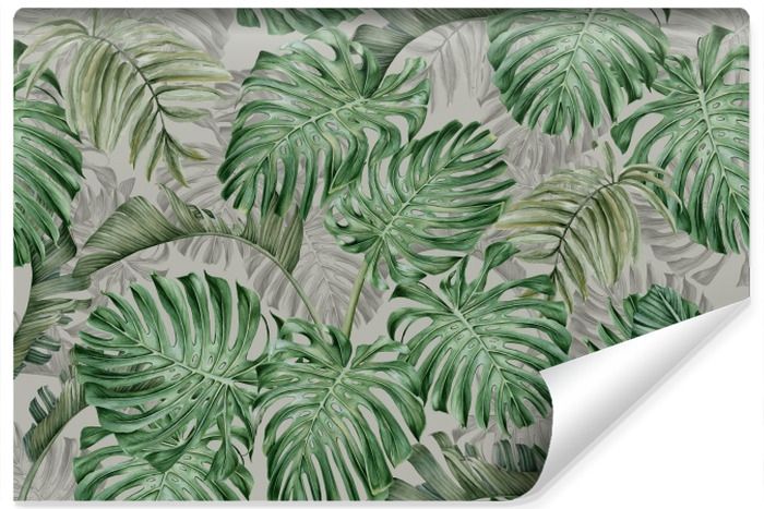 Fototapeta Do Sypialni Liście MONSTERA 3D 405cm x 270cm zdjęcie 1