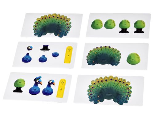 DLA DZIECI PUZZLE  KOLOROWY PAW na Arena.pl