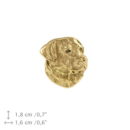 Labrador Retriever - broszka - 1078 na Arena.pl