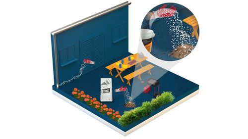 ŚRODEK PROSZEK GRANULAT NA MRÓWKI PLUSKWY KARALUCHY RYBIKI PCHŁY EFFECT 5KG na Arena.pl