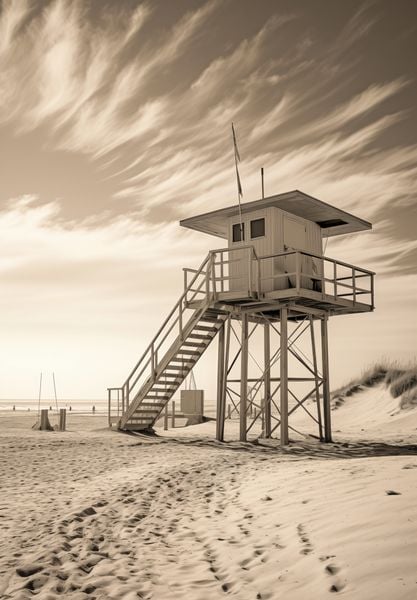 Plakat 68x98cm Strażnik Wydm zdjęcie 1