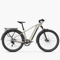 Nowość FIIDO Nomads – Elektryczny Trekkingowy 250W,11.6Ah do 79km,25kg