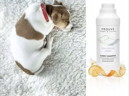 Prouve – szampon do dywanów i tapicerki 1000ml na Arena.pl
