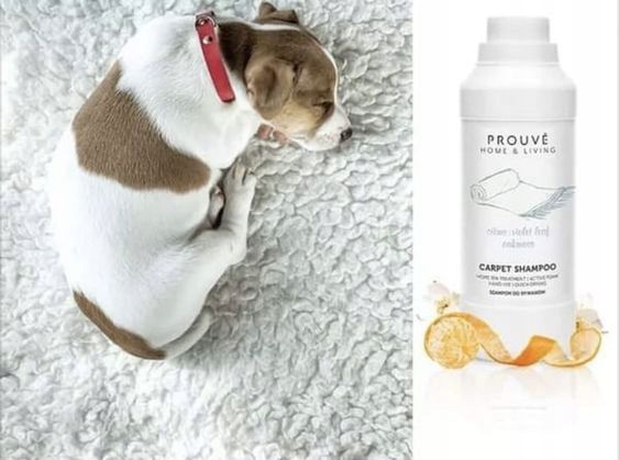 Prouve – szampon do dywanów i tapicerki 1000ml zdjęcie 3