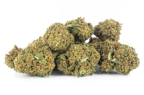 Susz konopny CBD | JACK HERER | 1 g na Arena.pl