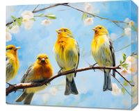 Obraz 60x50cm Wiosenne Pogwizdy