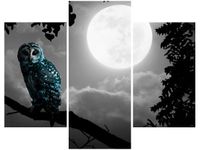 product-compare-58710978