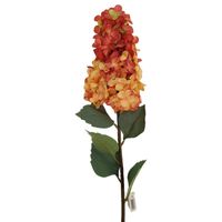 product-compare-61191037