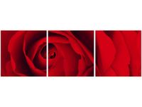 90 80CM OBRAZ T3 ELEM CZEWONA RÓŻA DRUK ŚCIENNY