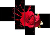 product-compare-58676159